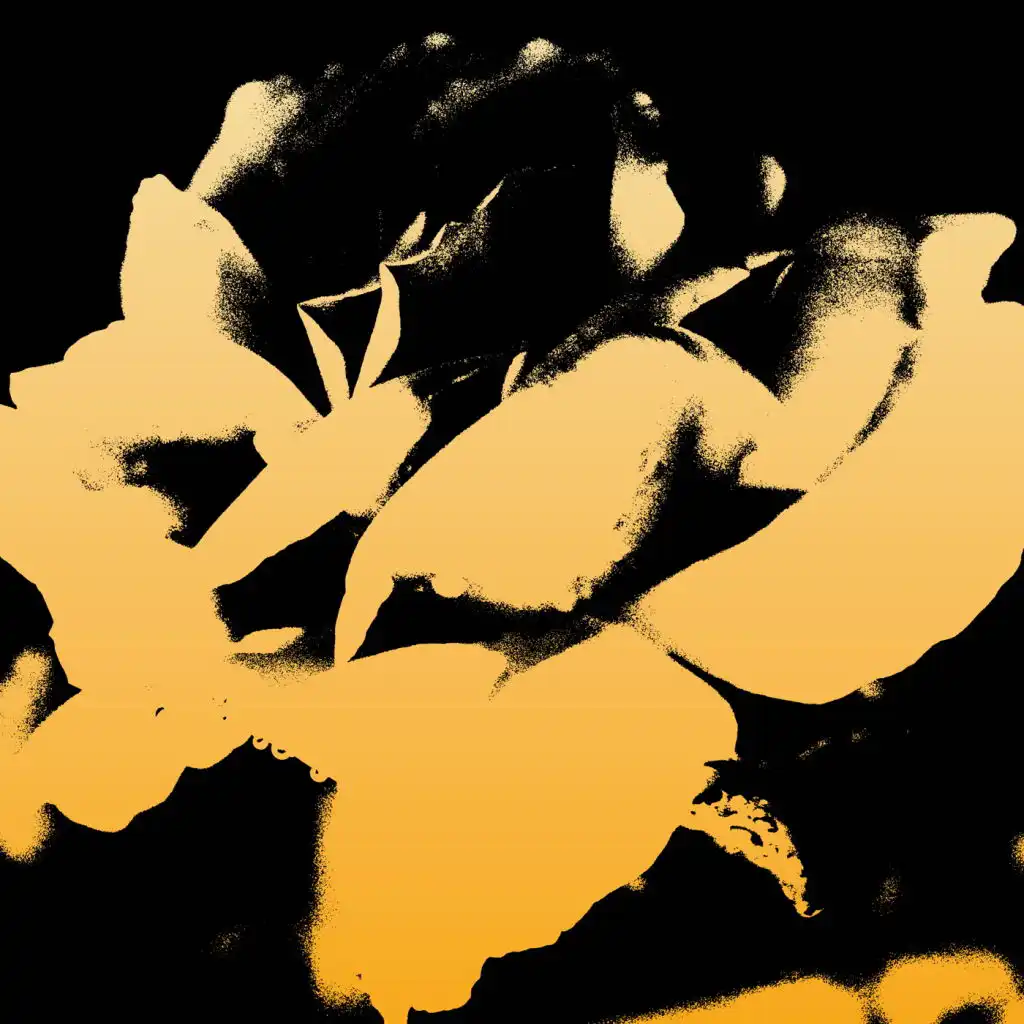 artist-header-image