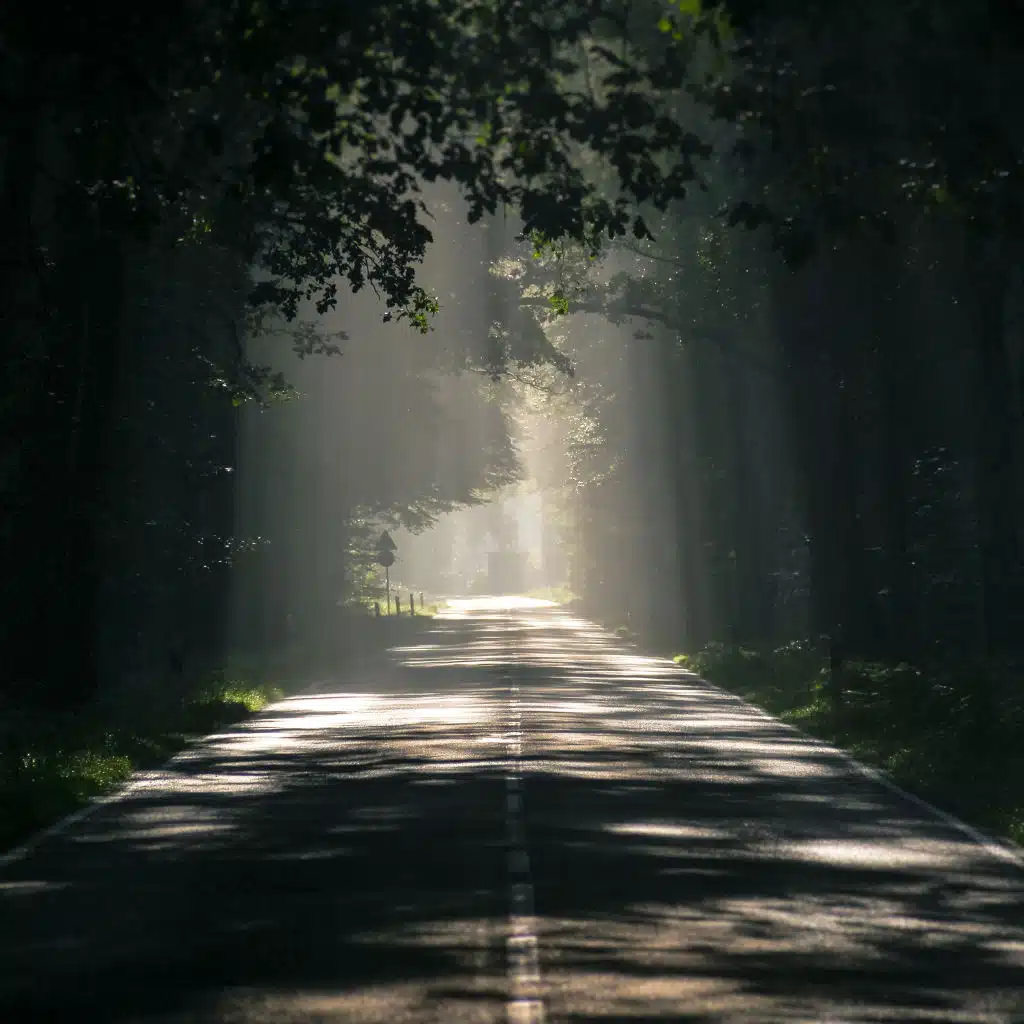 header-image