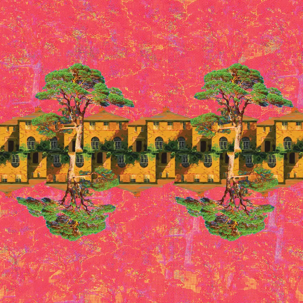 header-image