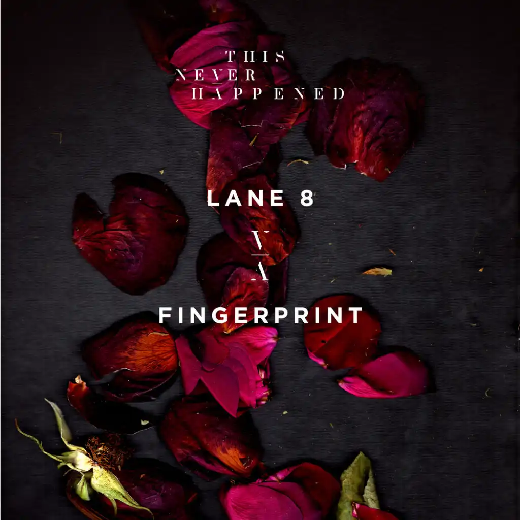 Lane 8 - Fingerprint | Play On Anghami