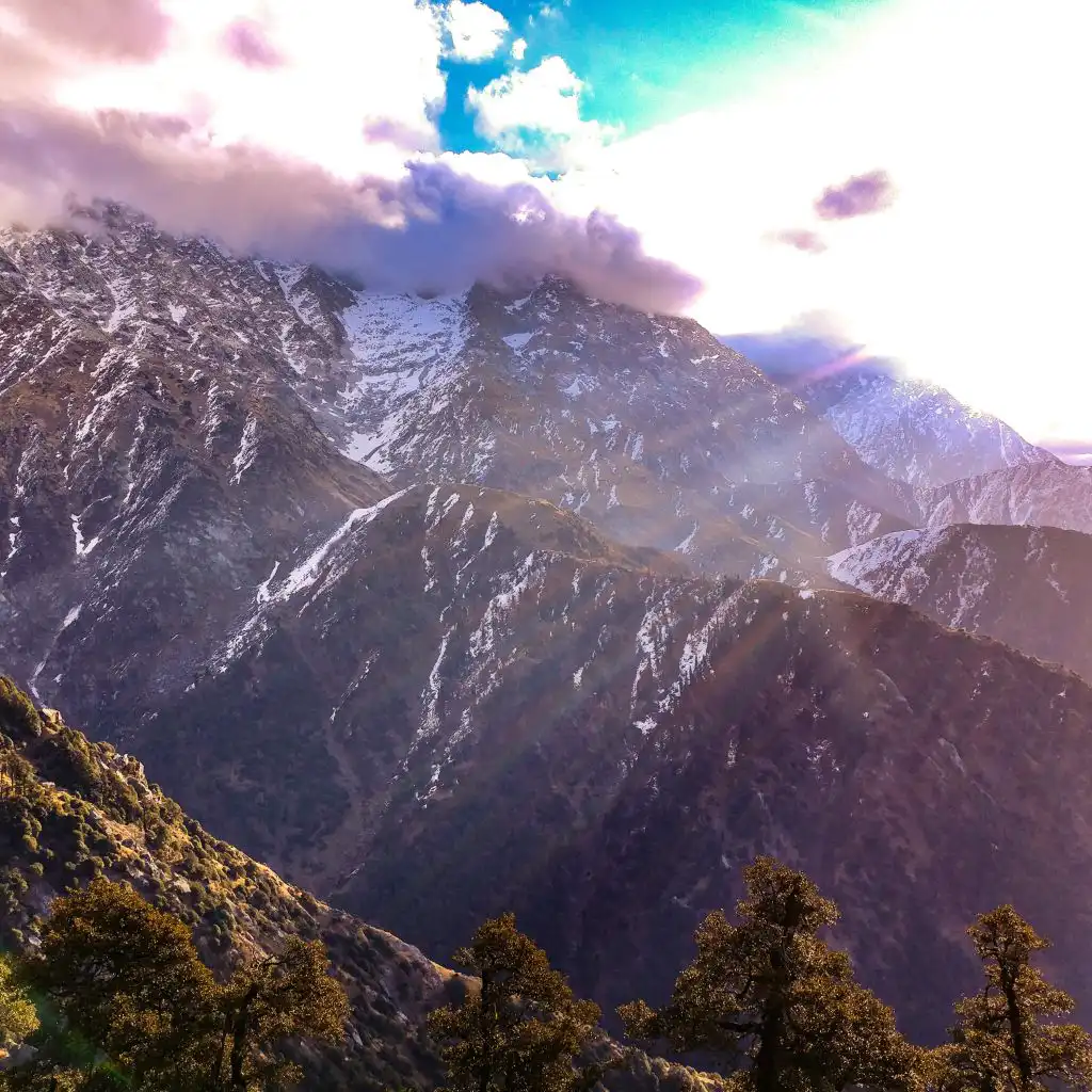 header-image