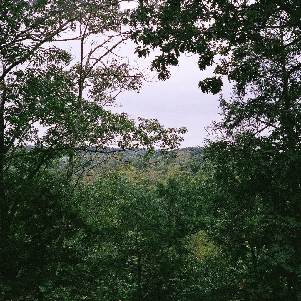 header-image