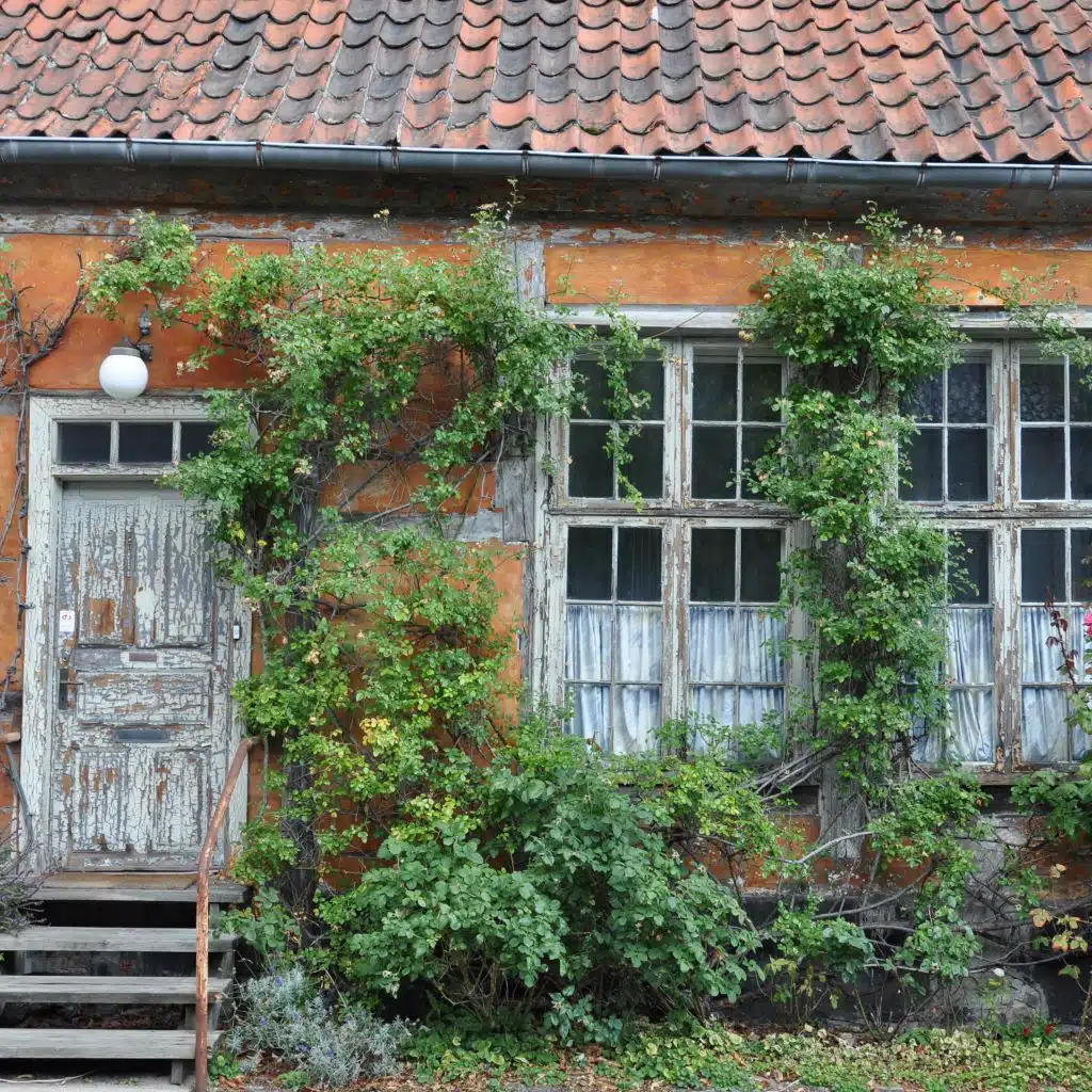 header-image