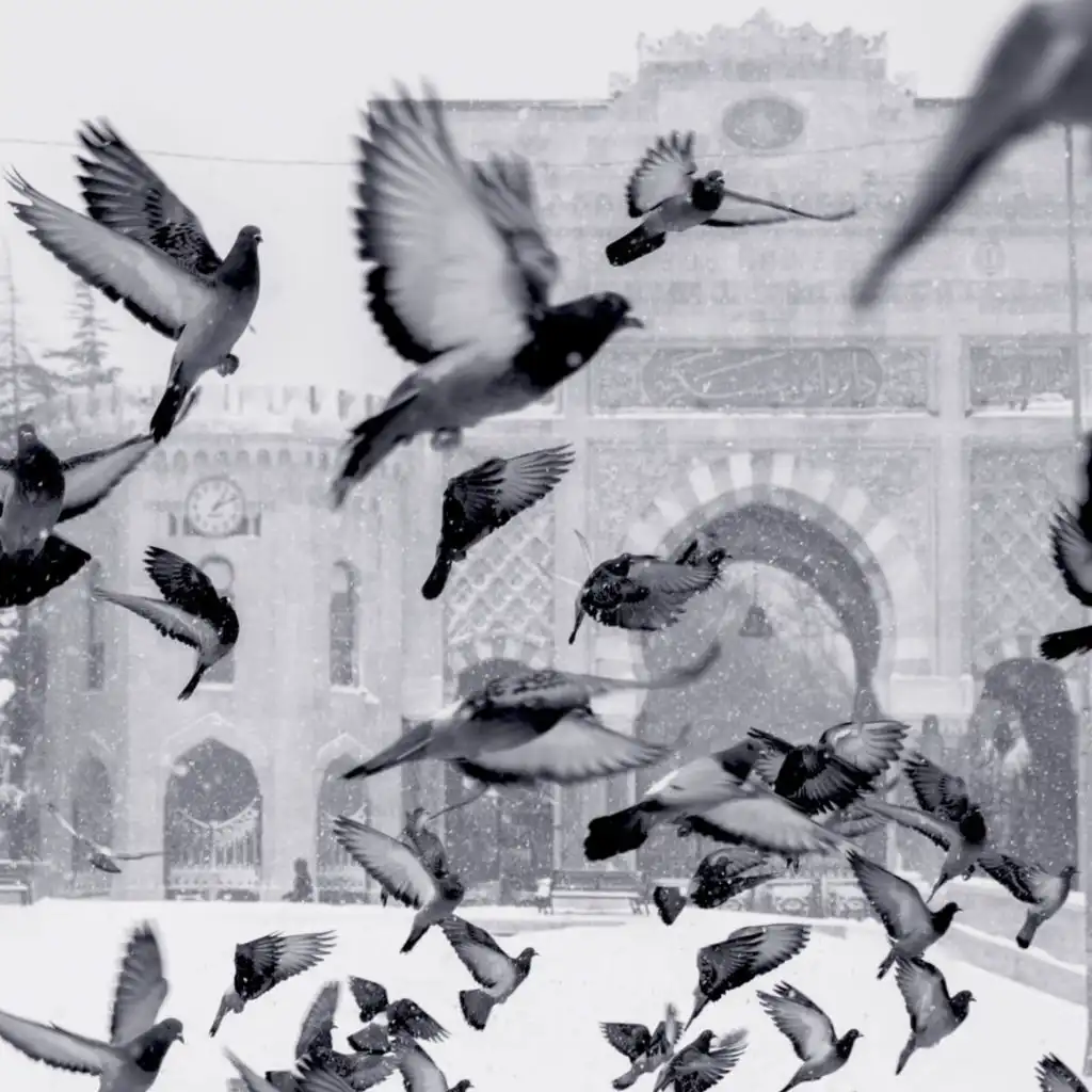 header-image