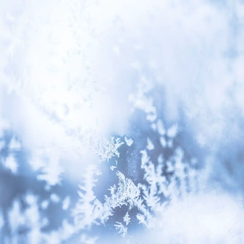 header-image