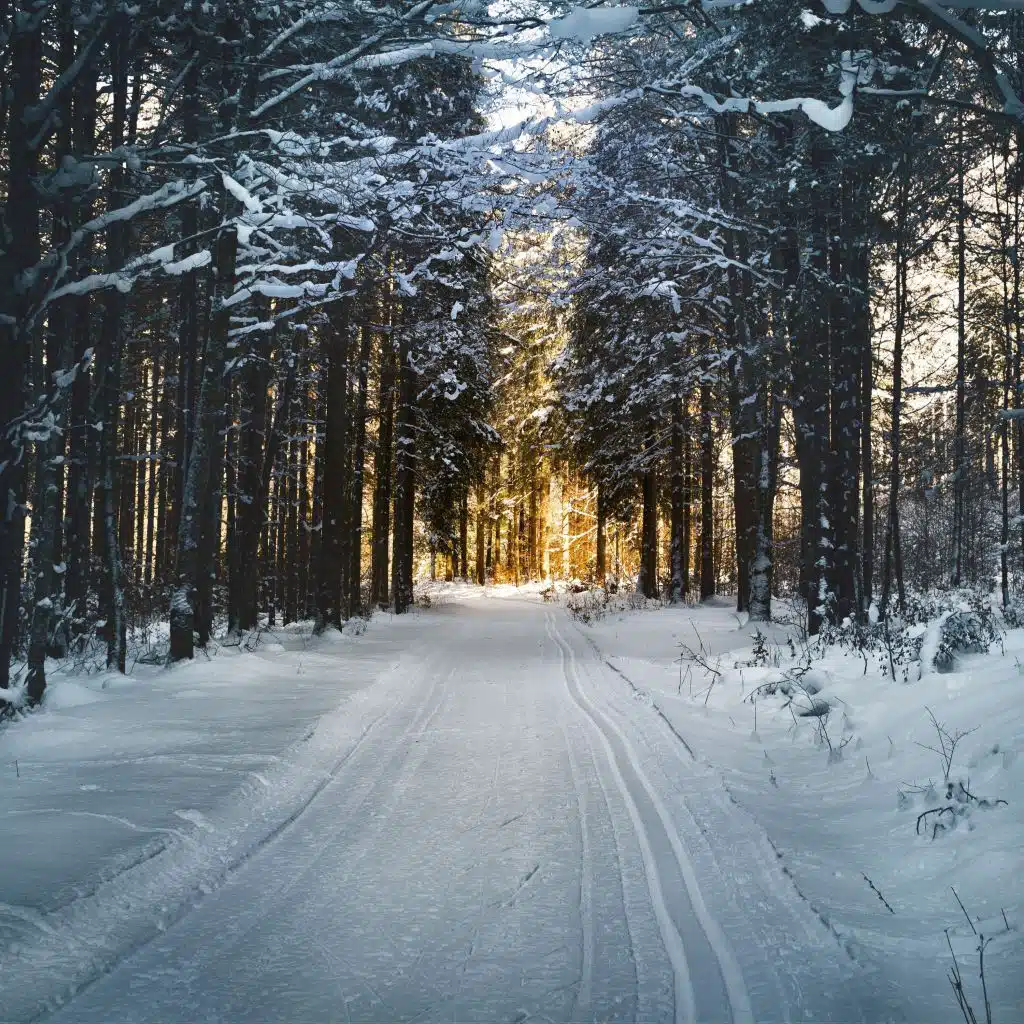 header-image