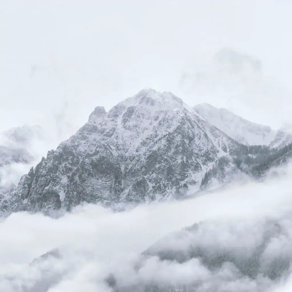 header-image