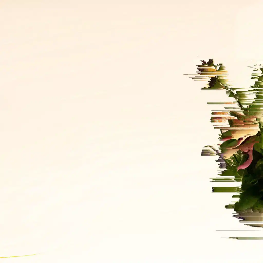 artist-header-image