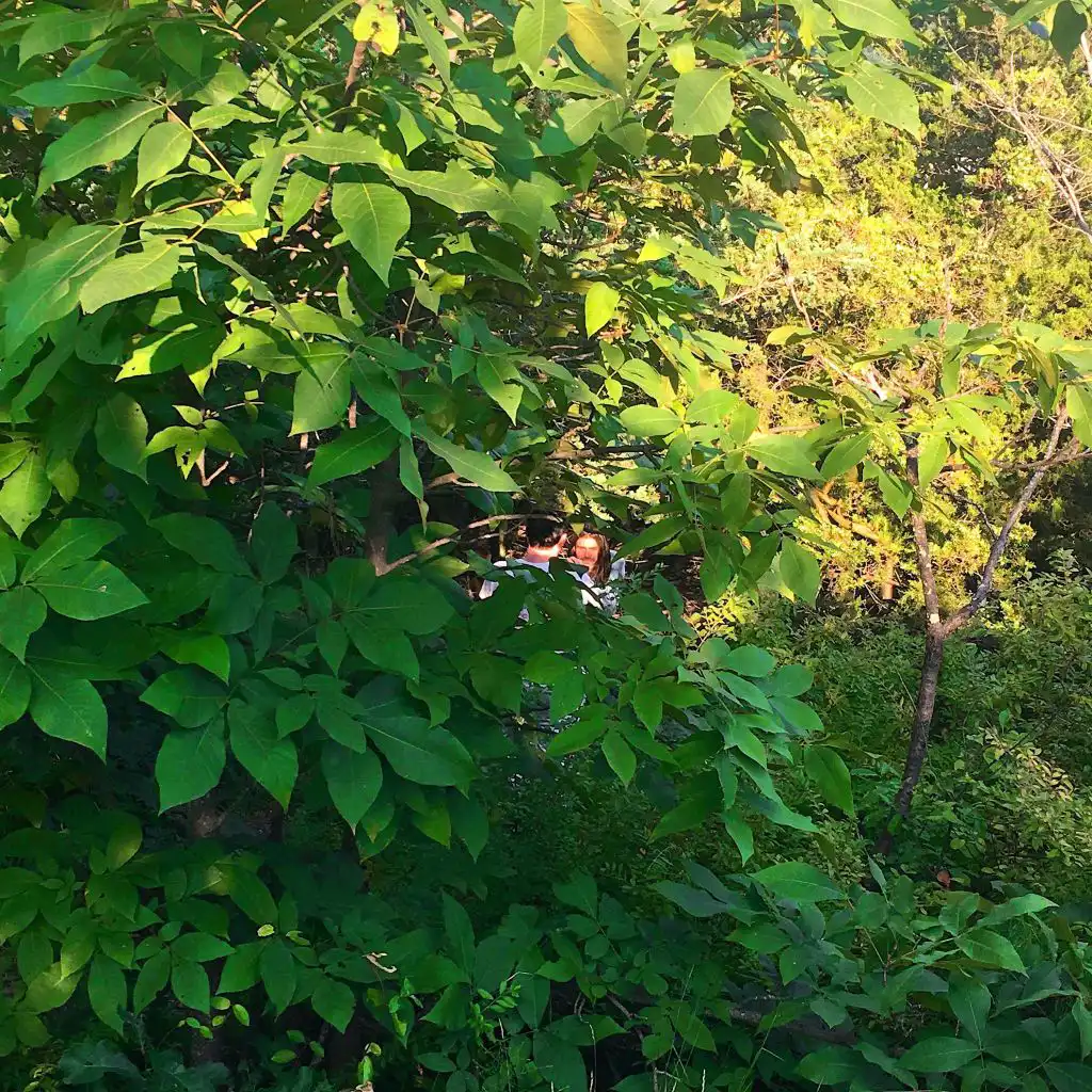 header-image