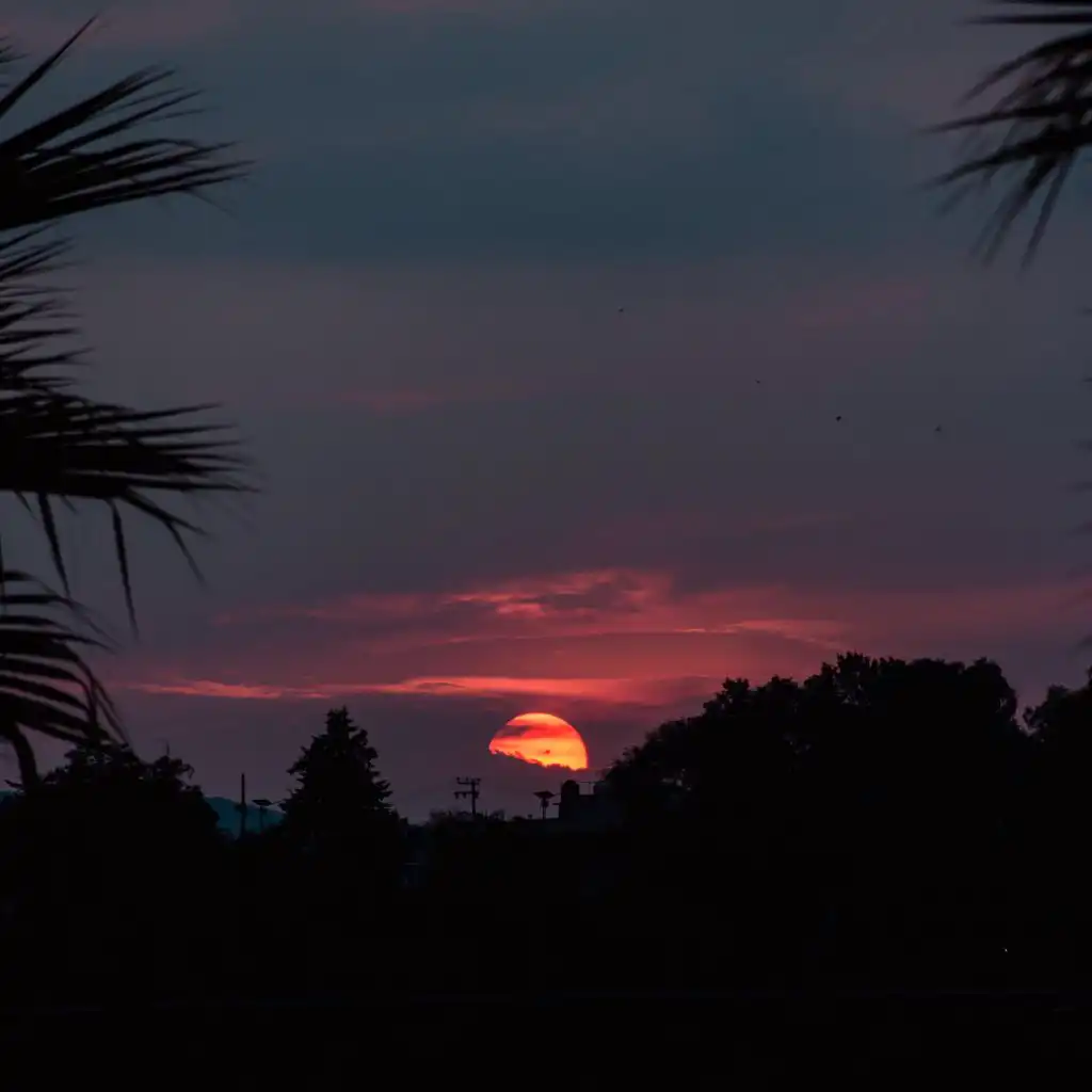 header-image