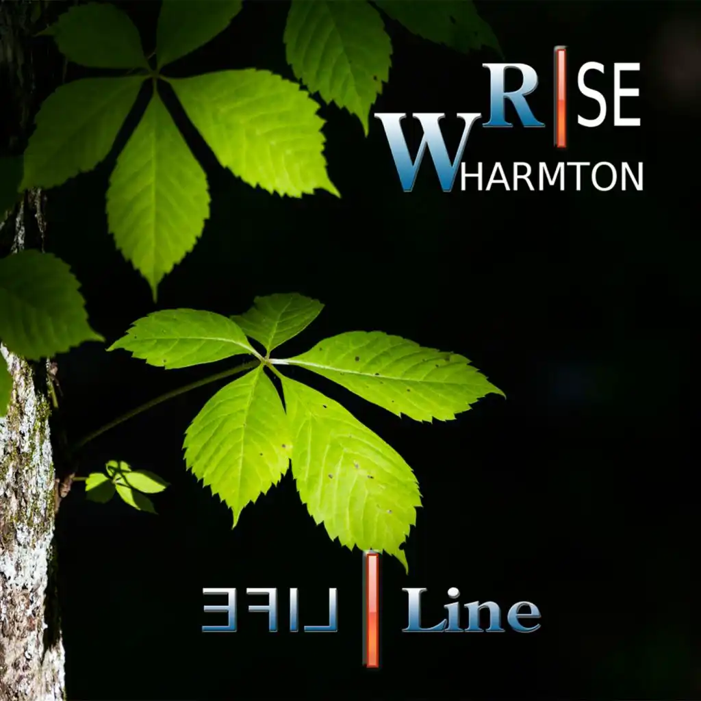 artist-header-image
