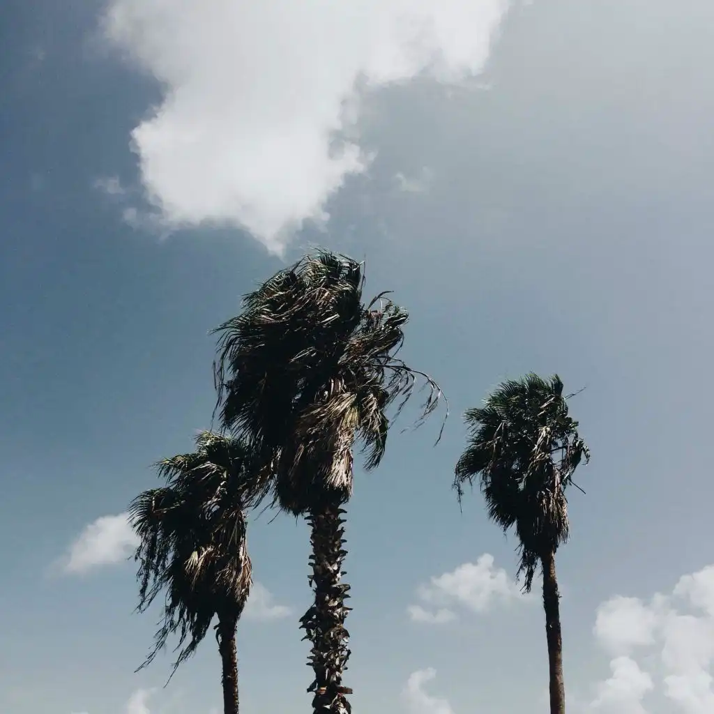 header-image