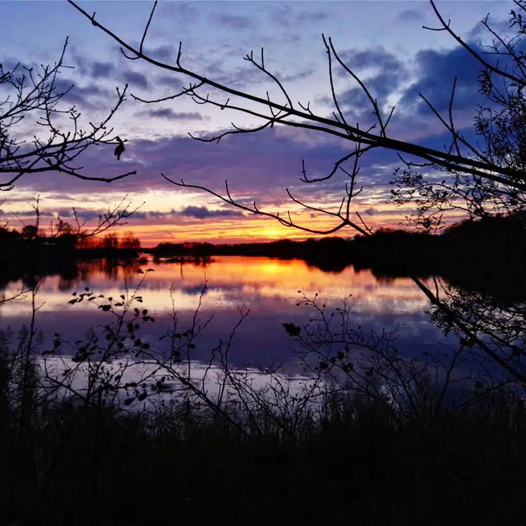 header-image