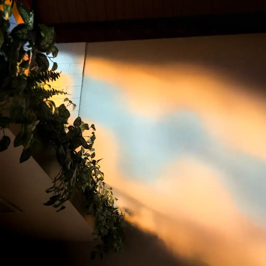 header-image