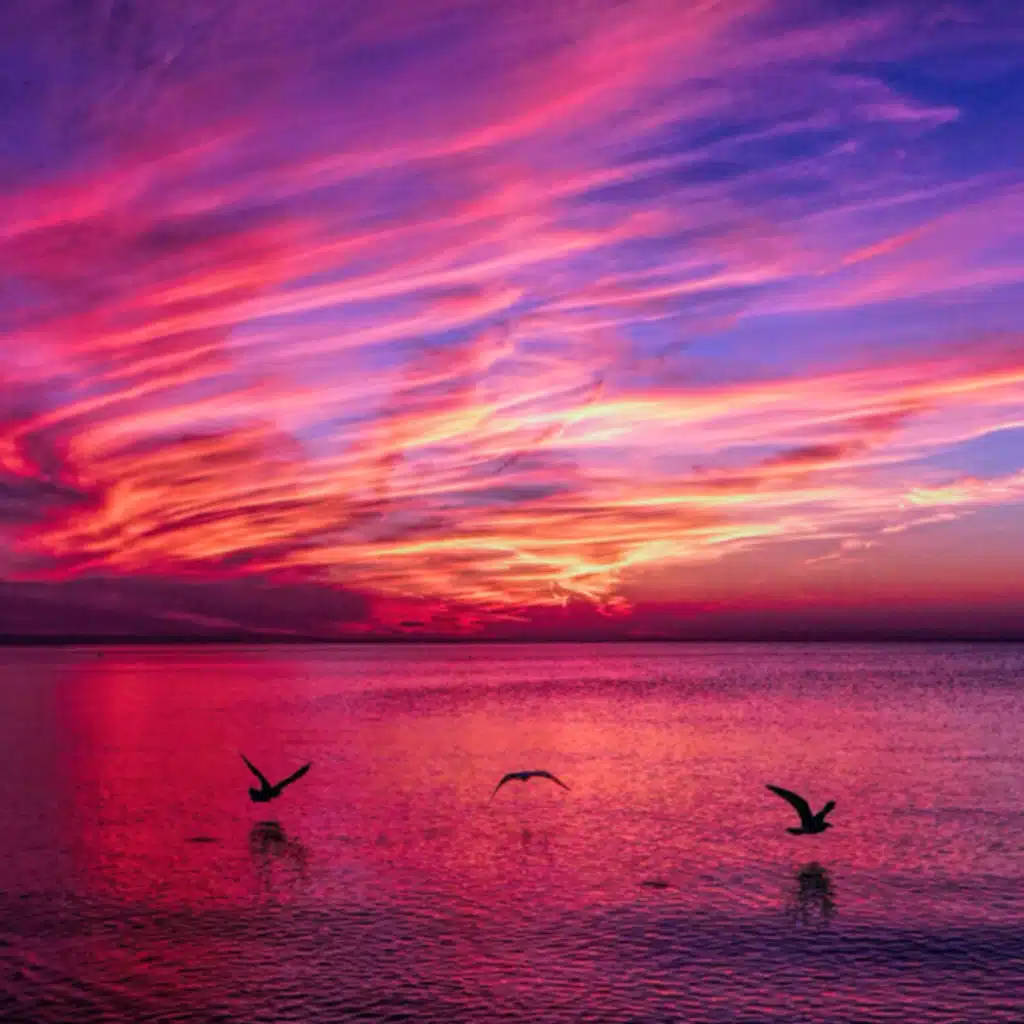 header-image
