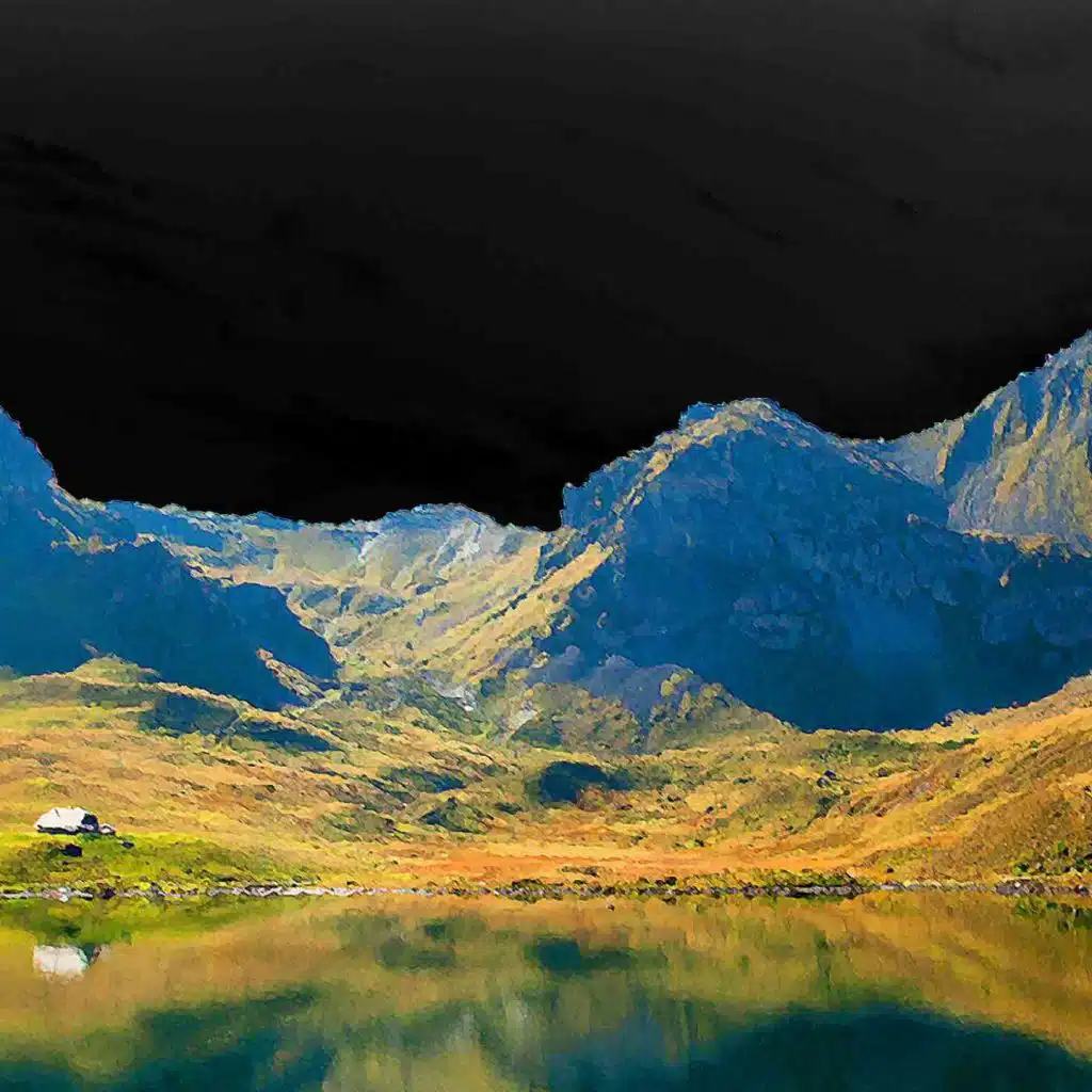 artist-header-image