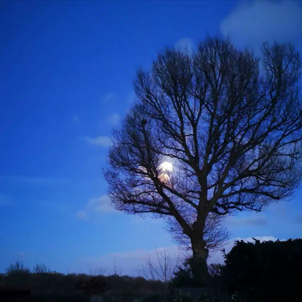 header-image