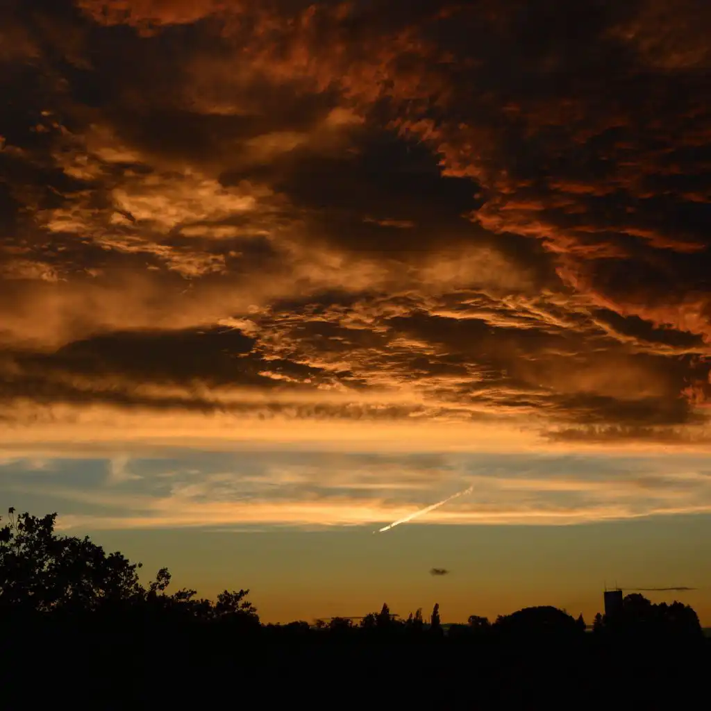 header-image