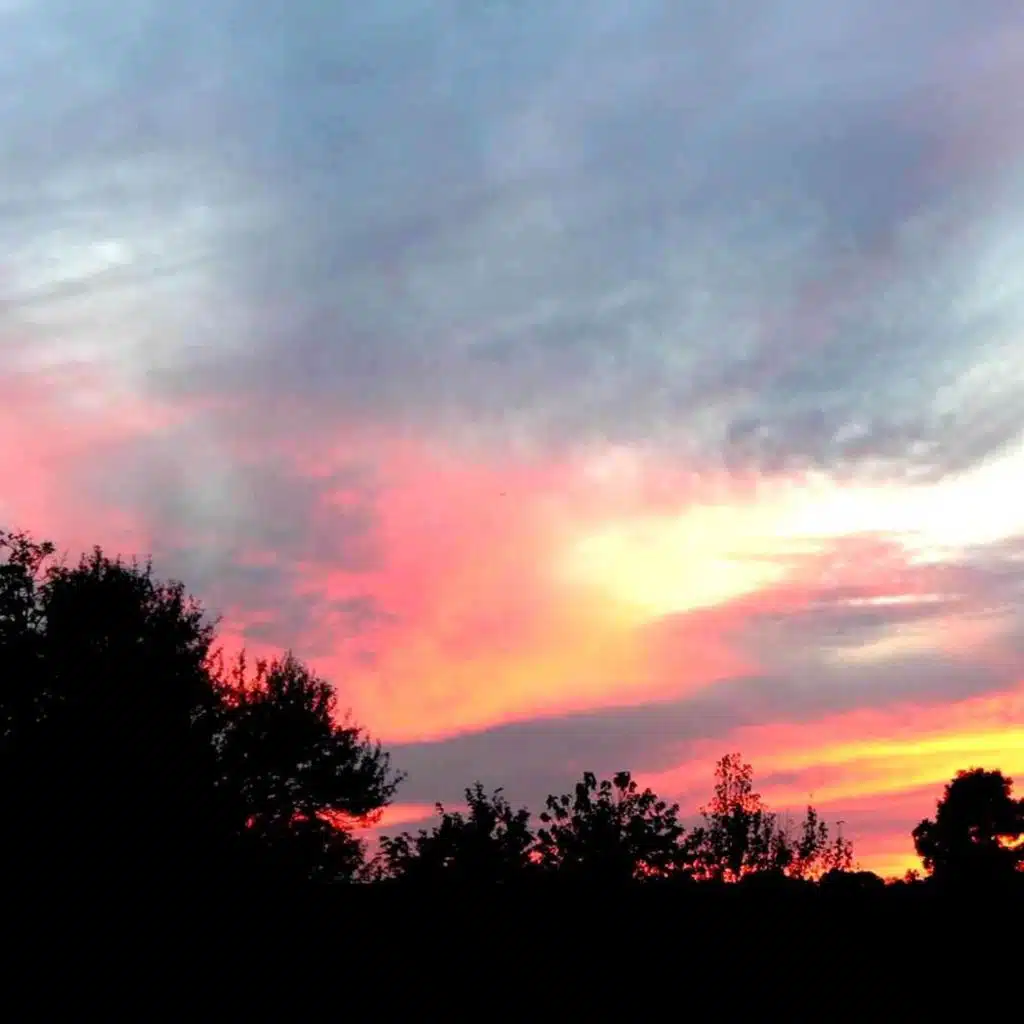 header-image