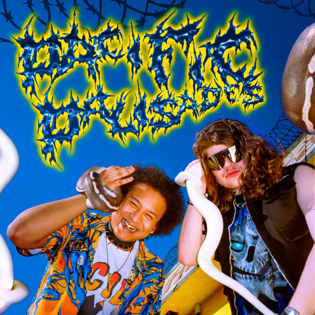 artist-header-image