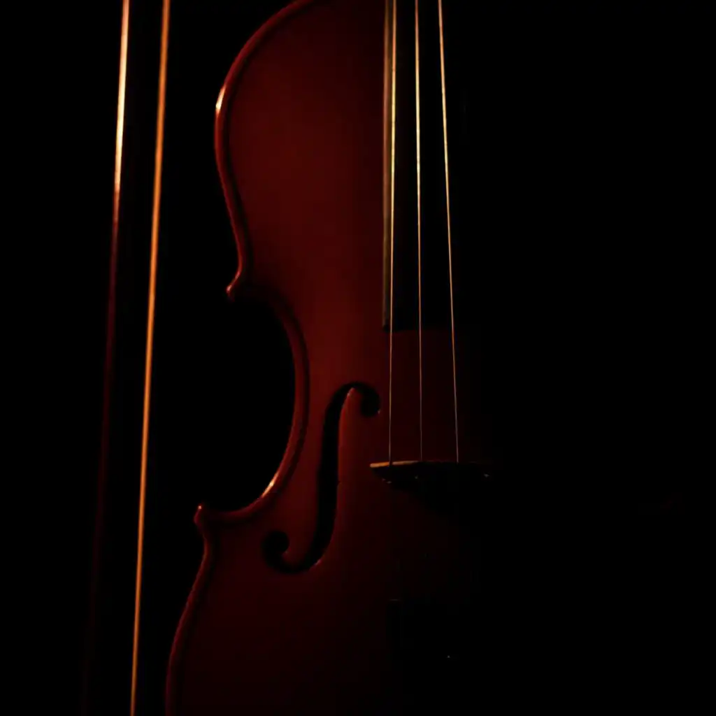 artist-header-image