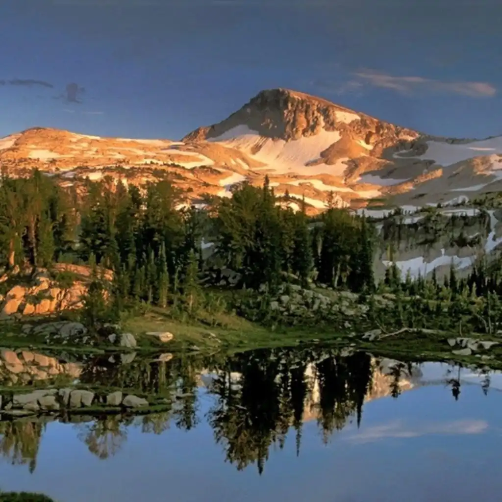 header-image