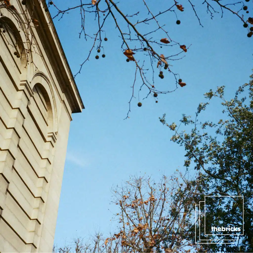 header-image