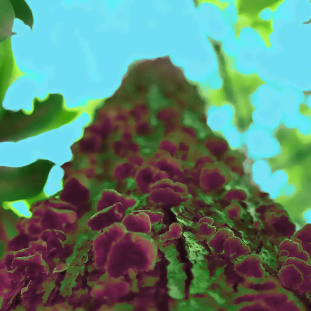 artist-header-image