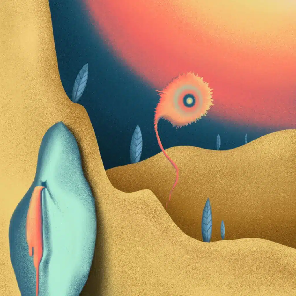 header-image