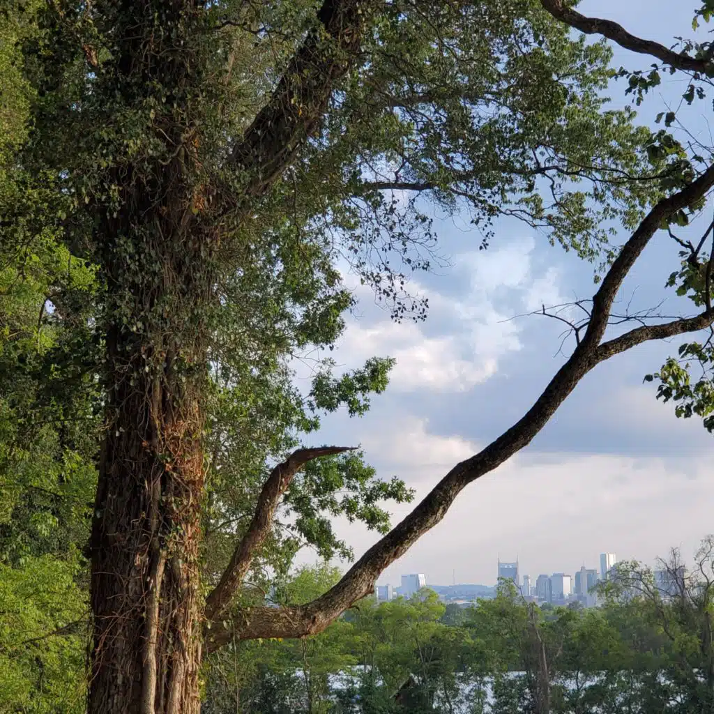 header-image