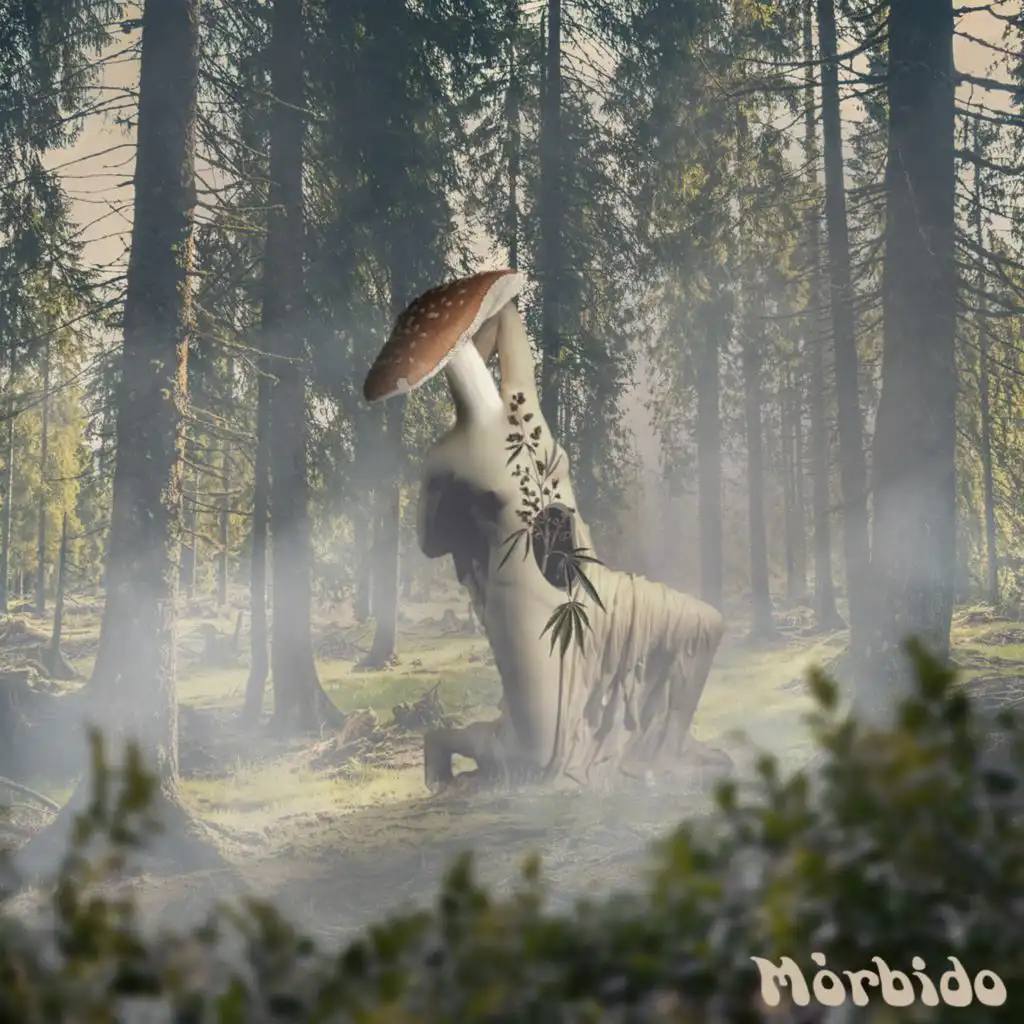 artist-header-image