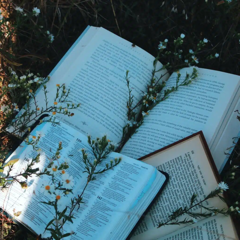 header-image