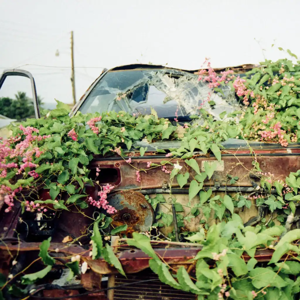 artist-header-image
