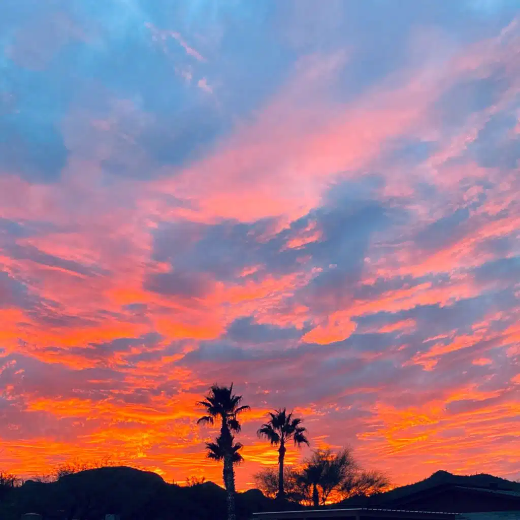 header-image