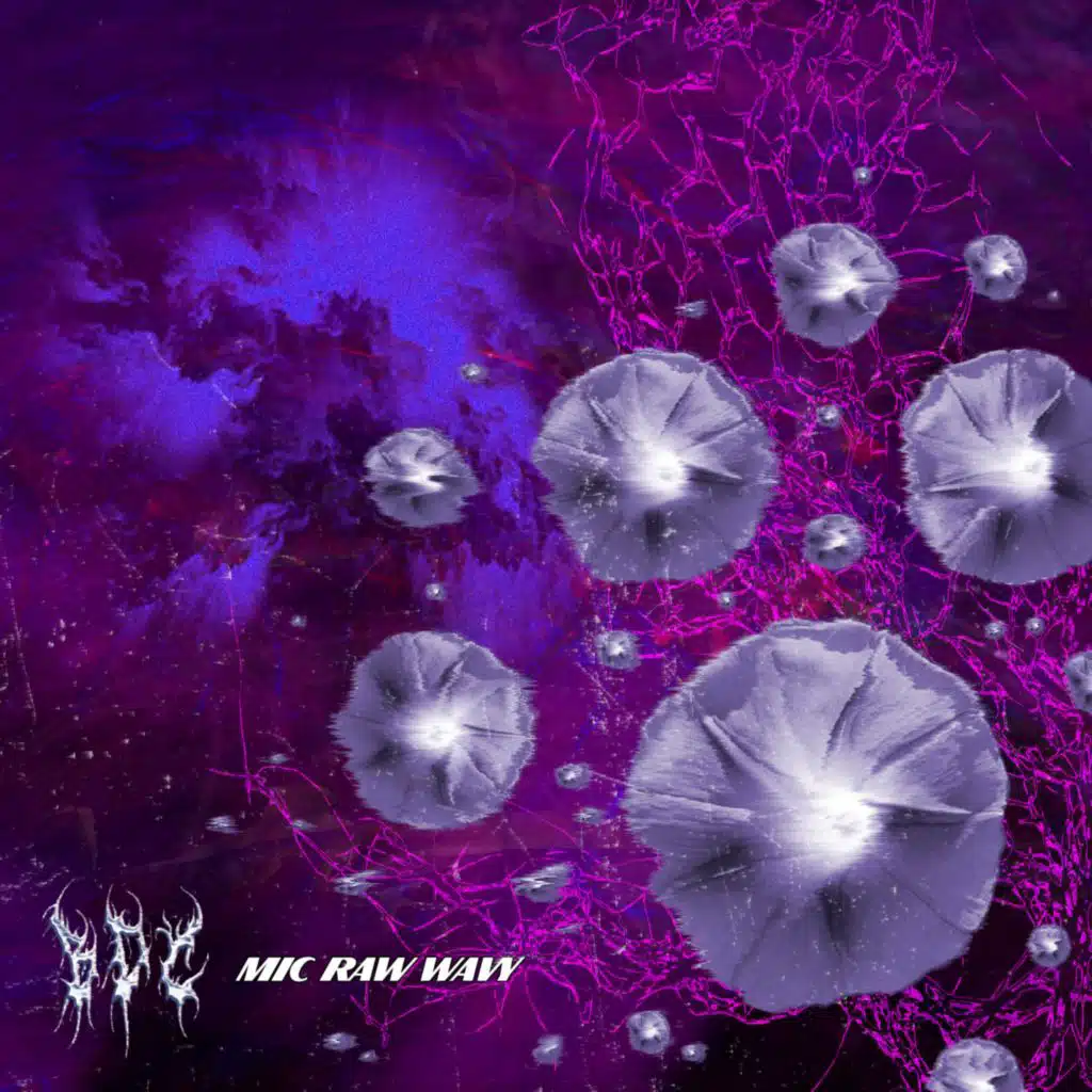 artist-header-image
