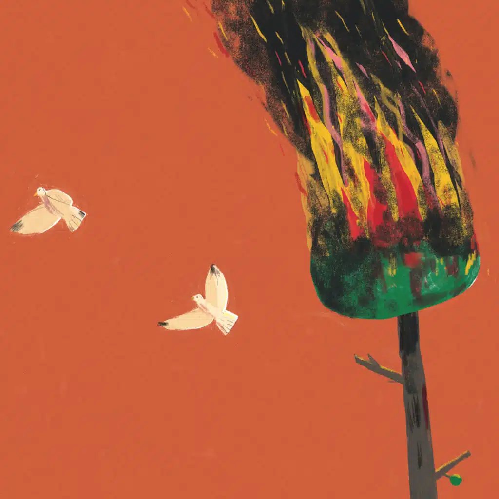header-image