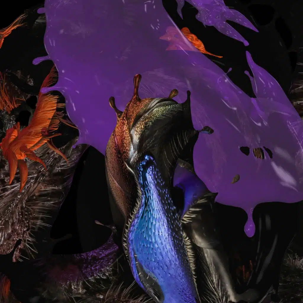 header-image