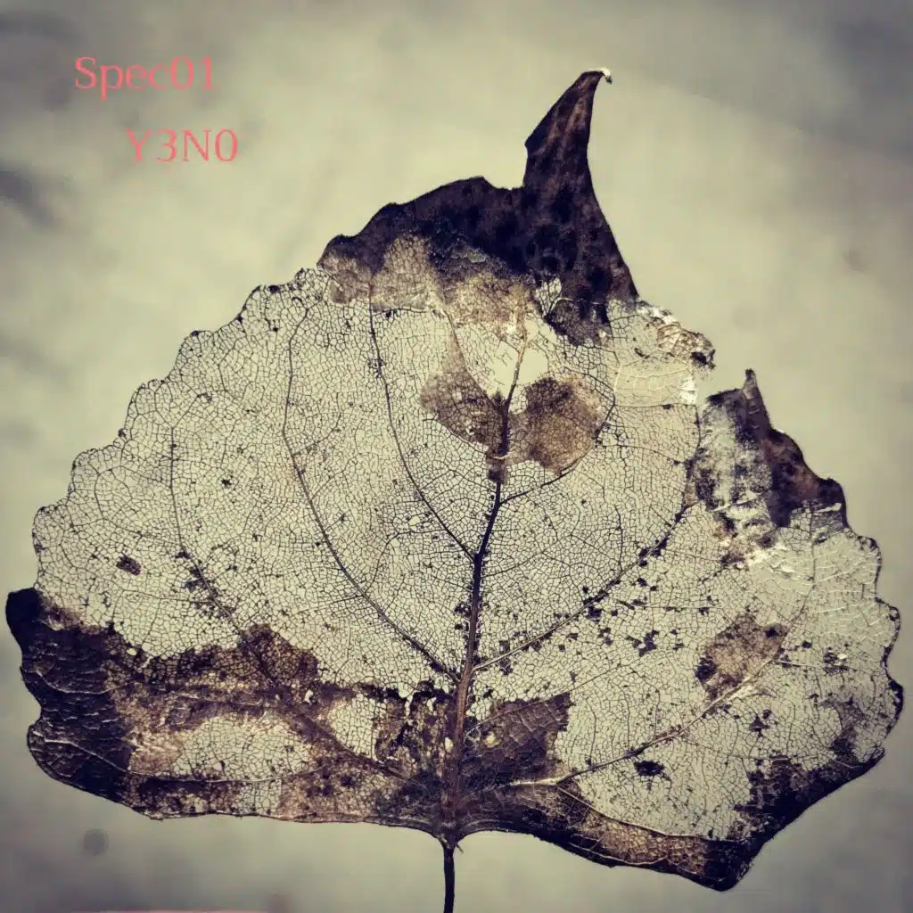 artist-header-image