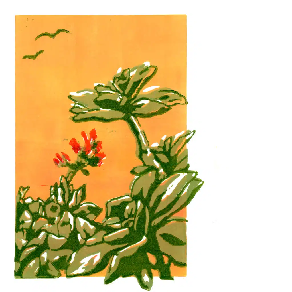 header-image