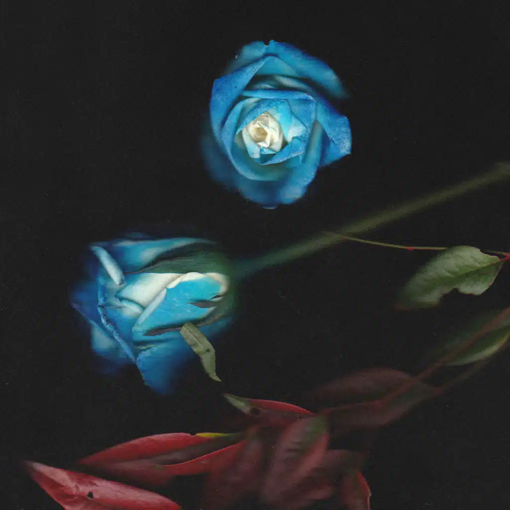 artist-header-image