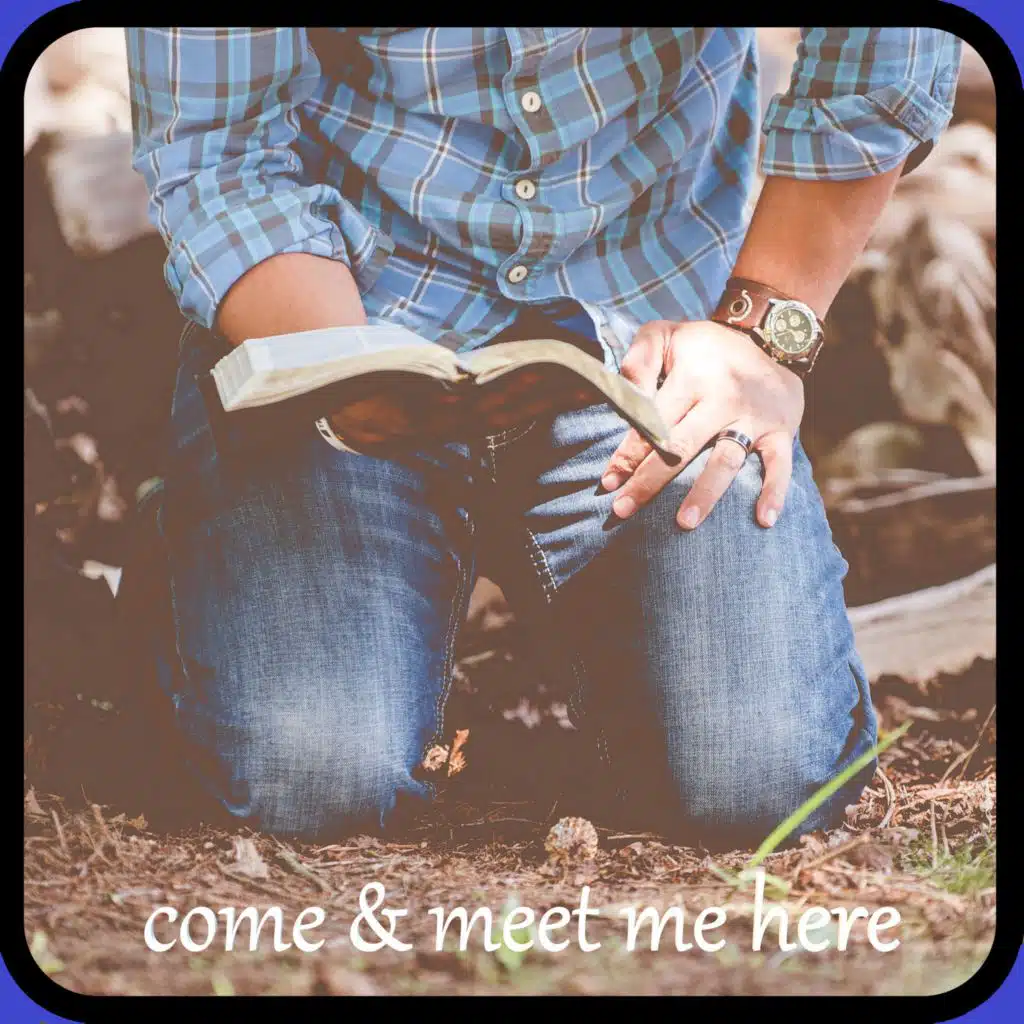 header-image
