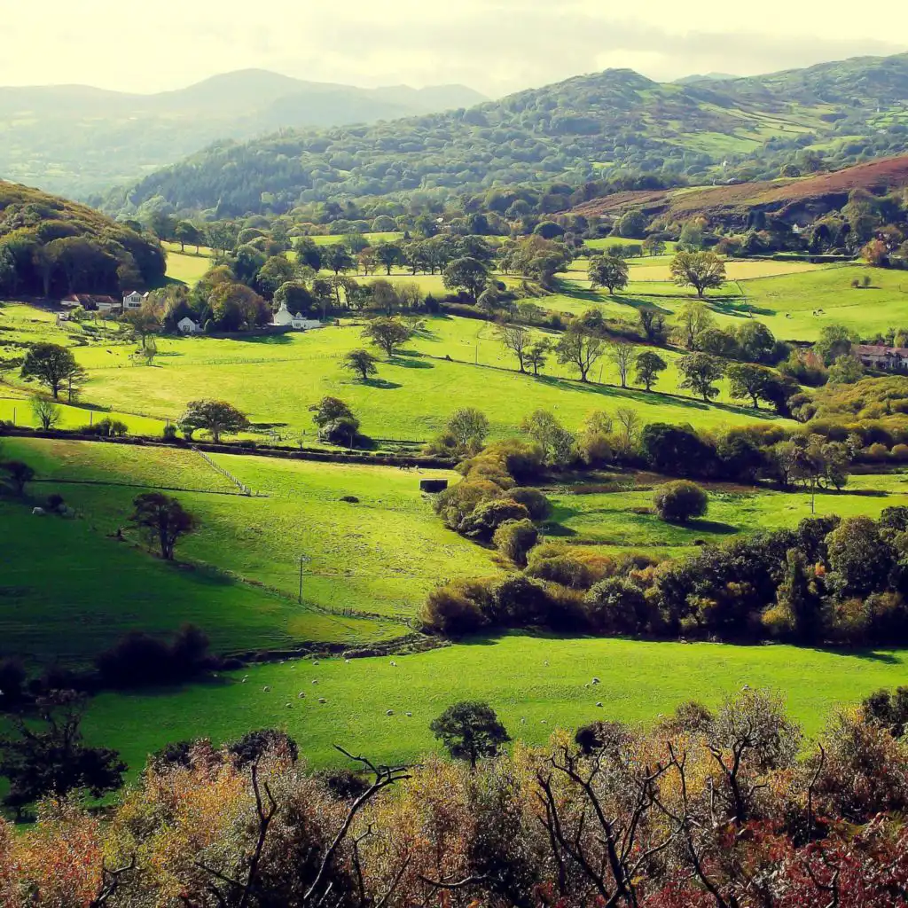 header-image