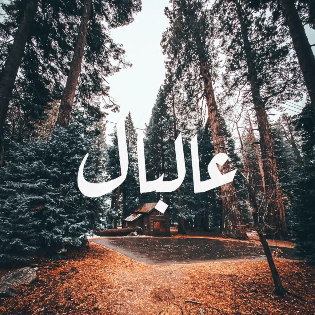 header-image