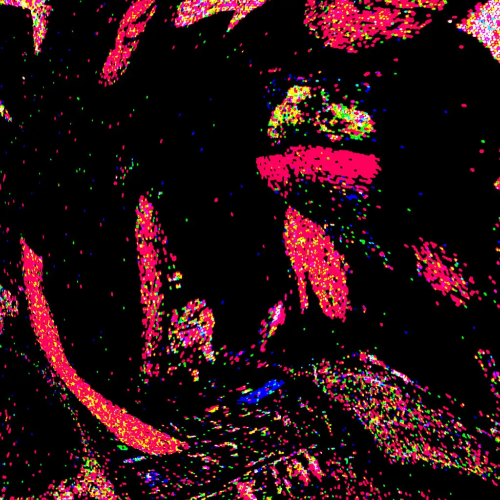 artist-header-image