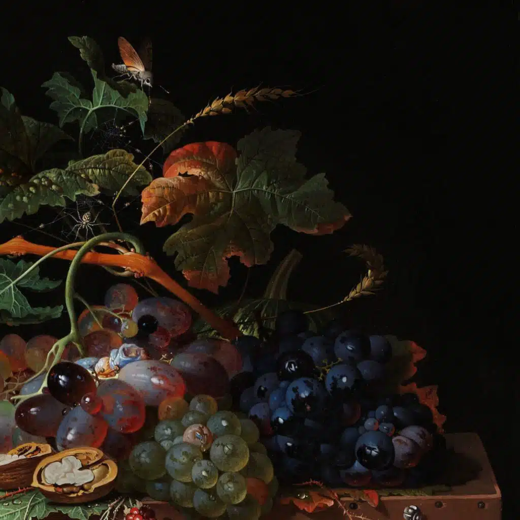 header-image