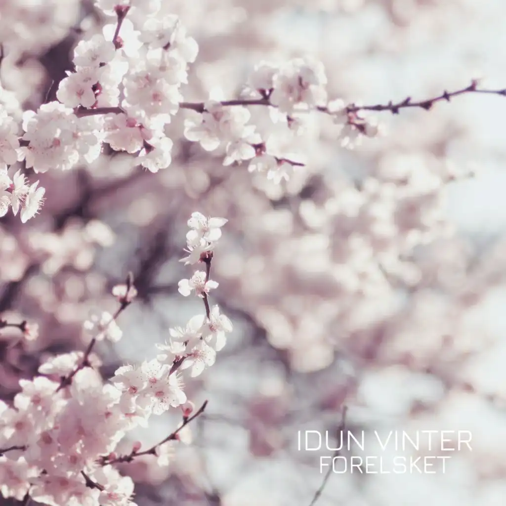 artist-header-image
