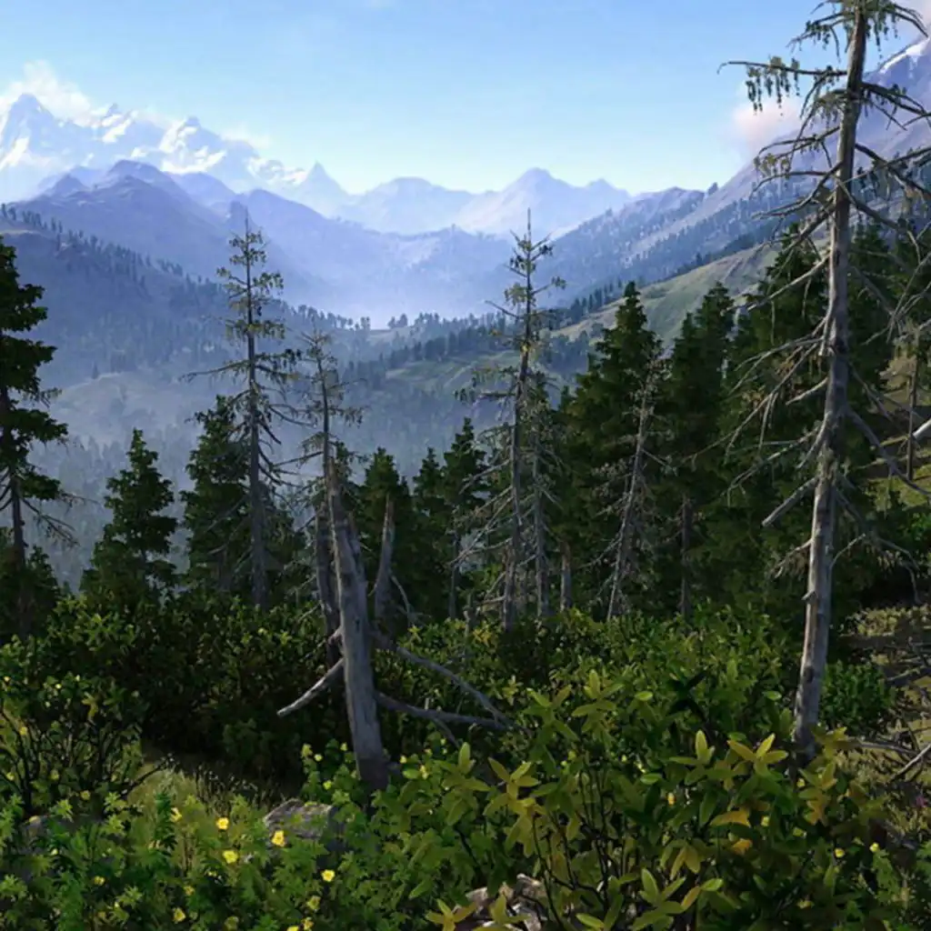 header-image