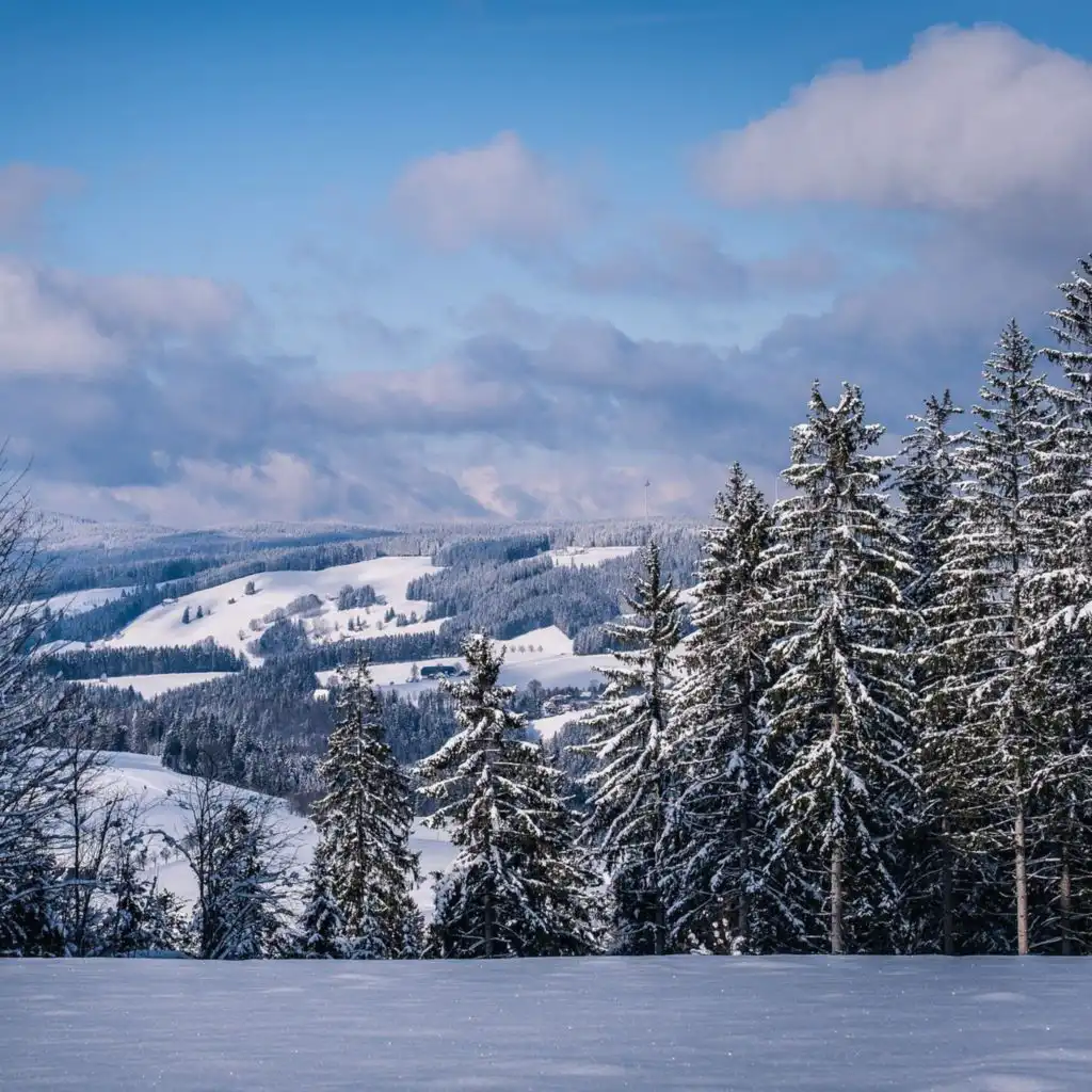 header-image