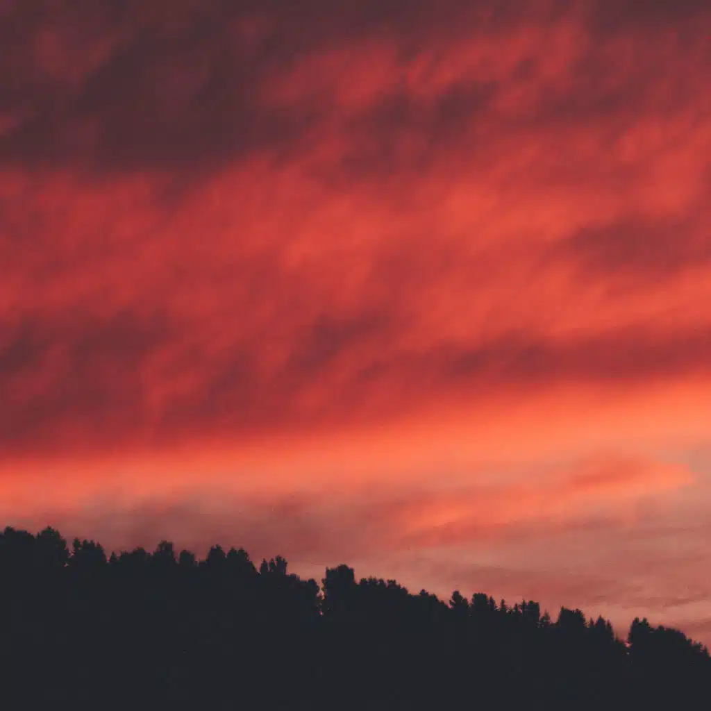 header-image