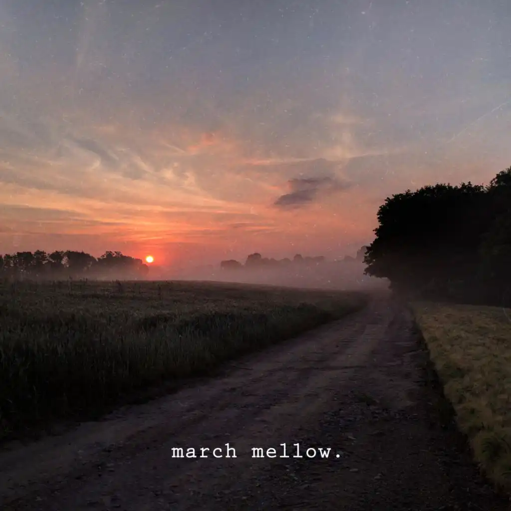 header-image